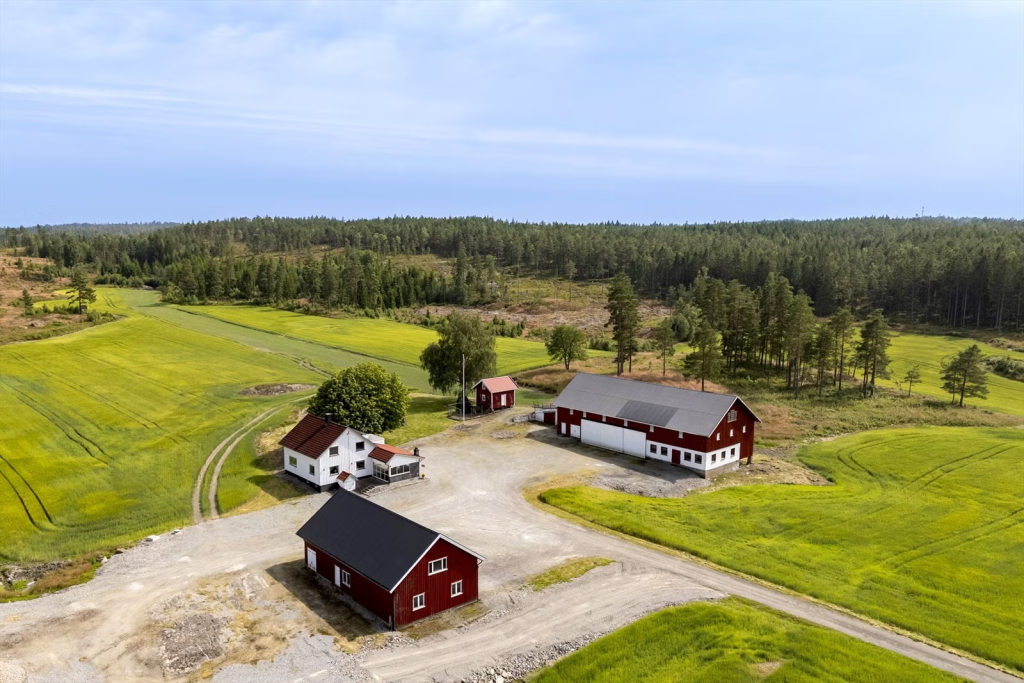 Bjerketvedt