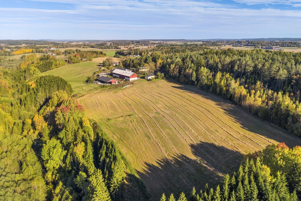 Kårlia
