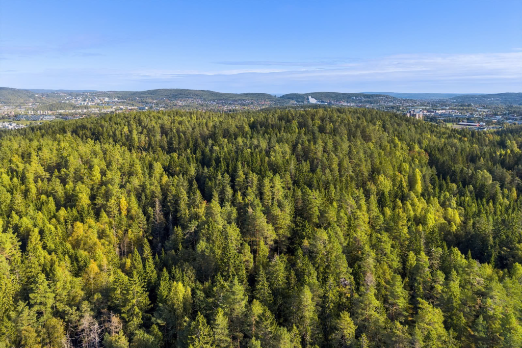 Skogeiendom nord i Østmarka